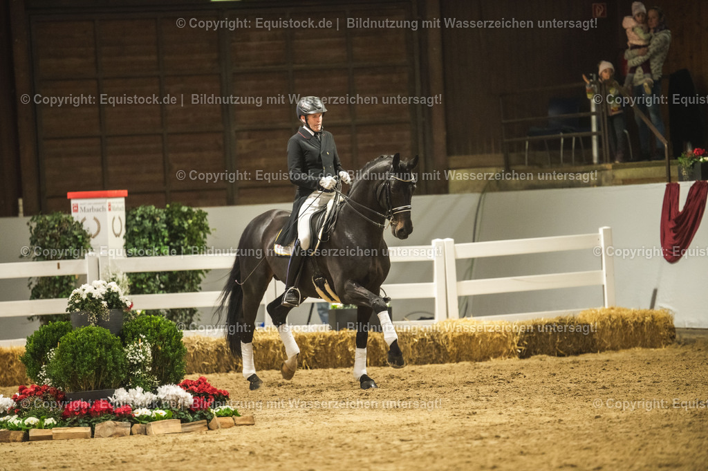 20240302_Hengstvorstellung_Marbach_TOMsPiC_1499-2 | equistock