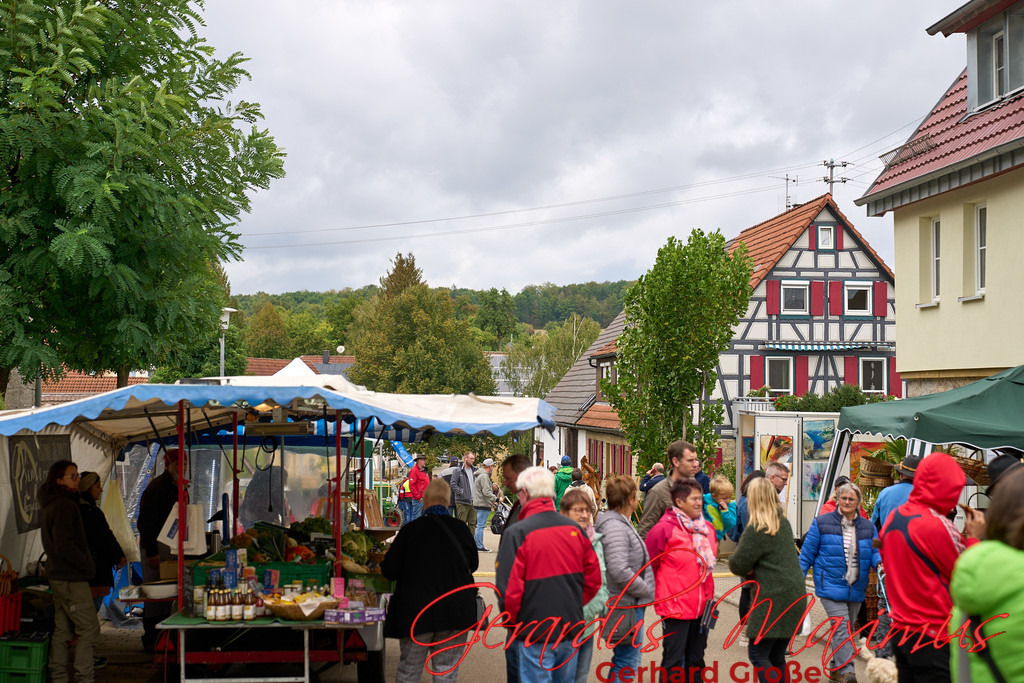 Schleierhof Hoffest 2022 284 | Chor für Alle | Biberach - Realisiert mit Pictrs.com