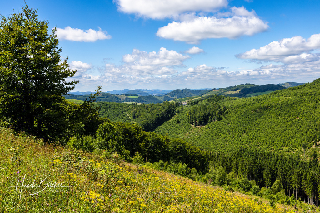 Westfeld und Umgebung 007 | Bilder und Impressionen zu jeder Jahreszeit aus dem Sauerland im Naturpark Sauerland-Rothaargebirge - Realisiert mit Pictrs.com