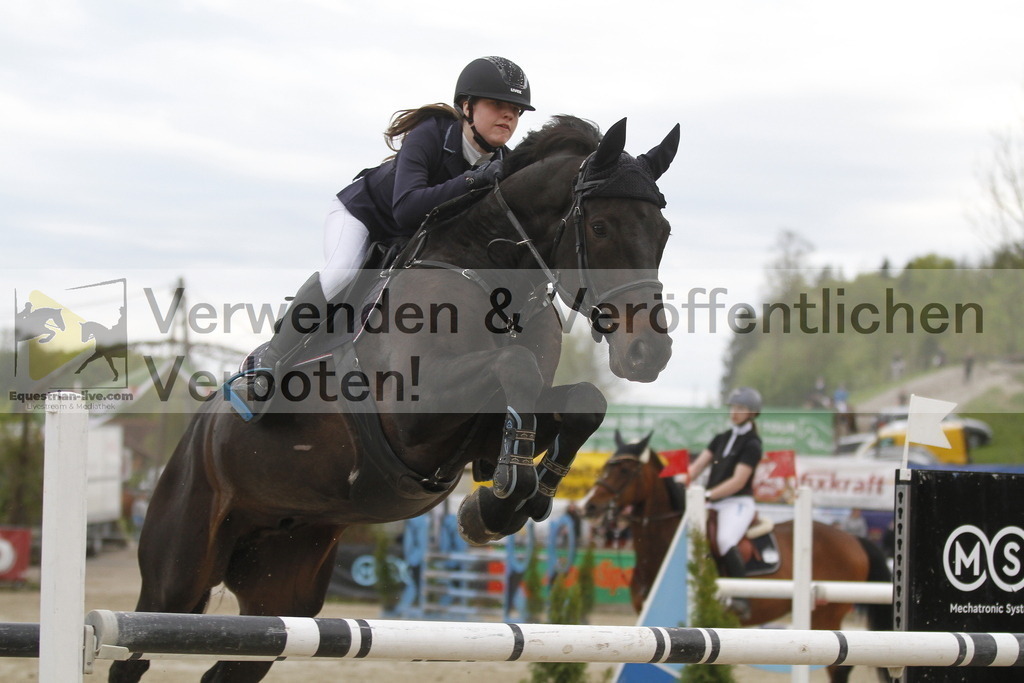 _MG_8473 | equestrian-live-com