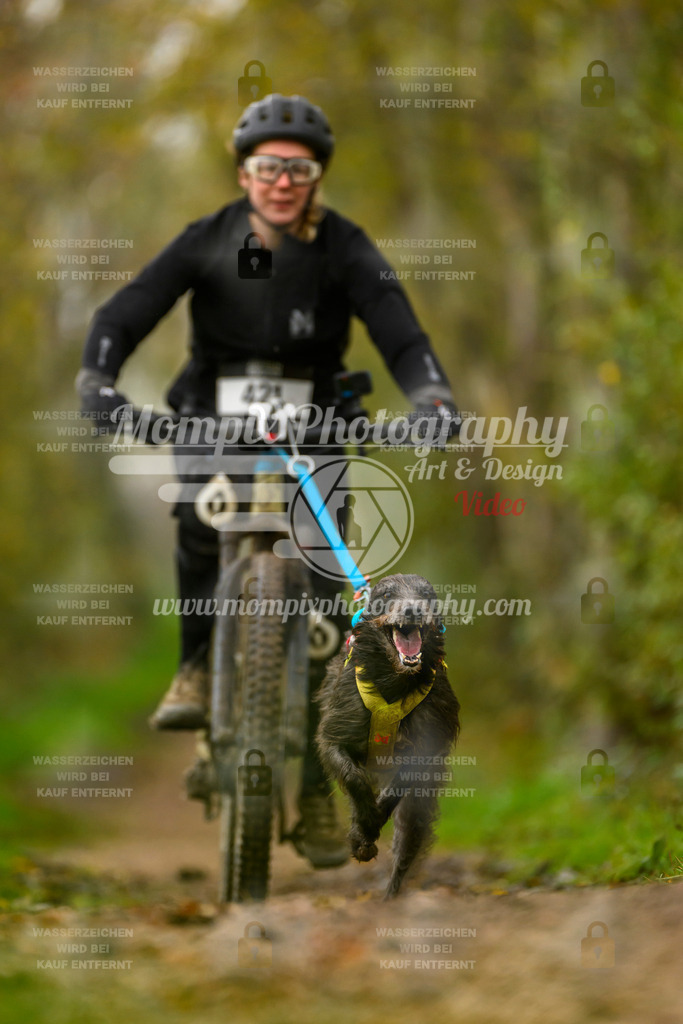 MompixPhotography_20TSB_E6_Bike-161 | mompixphotography