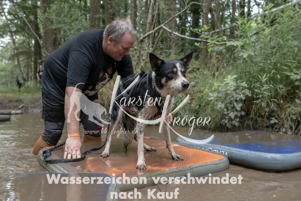 1316_ZZ93191 | kk-dogfotos