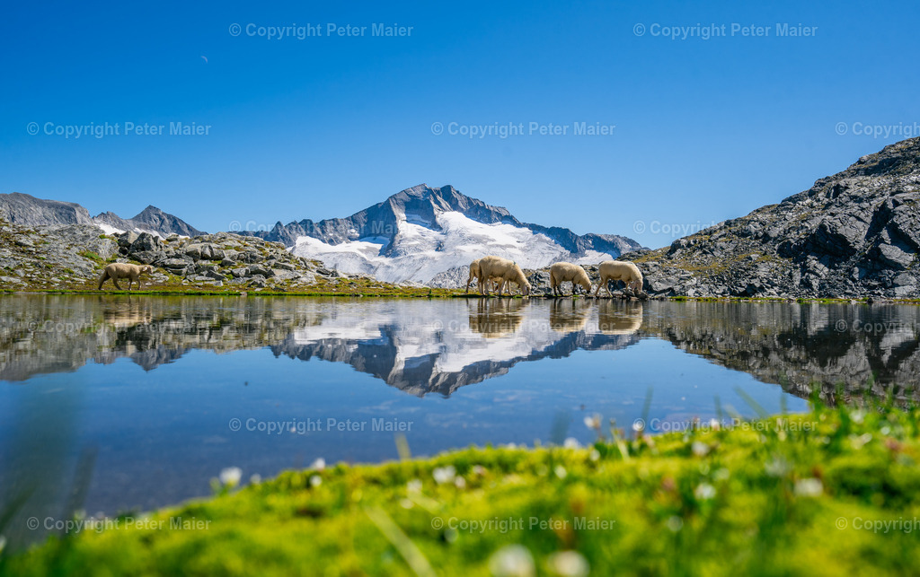 Schwarzhornsee-2457 | piet_flosse