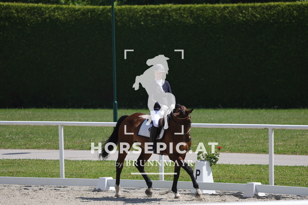 0P6A6028 | Willkommen bei Brunnmayr - Design & Fotografie – Ihrem Spezialisten für Reitturniere und Pferdeveranstaltungen in Oberösterreich, Salzburg und Bayern! Seit über 17 Jahren sind wir leidenschaftlich dabei.