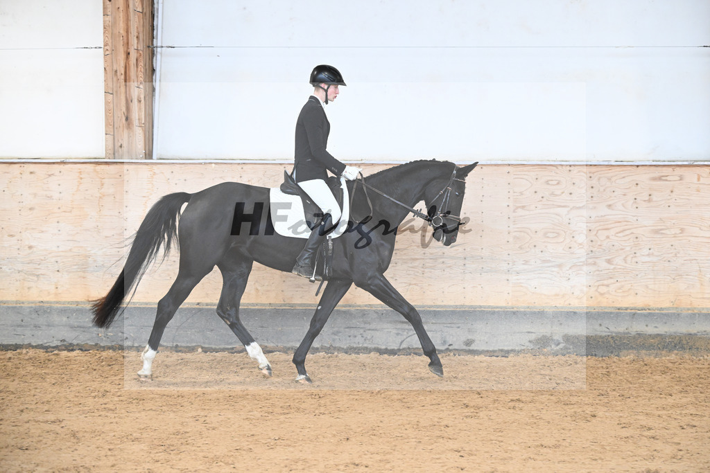 Kat-Nr. 8 Selma v. Don Royal_Eder_50250250 | hf-fotografie - Realisiert mit Pictrs.com