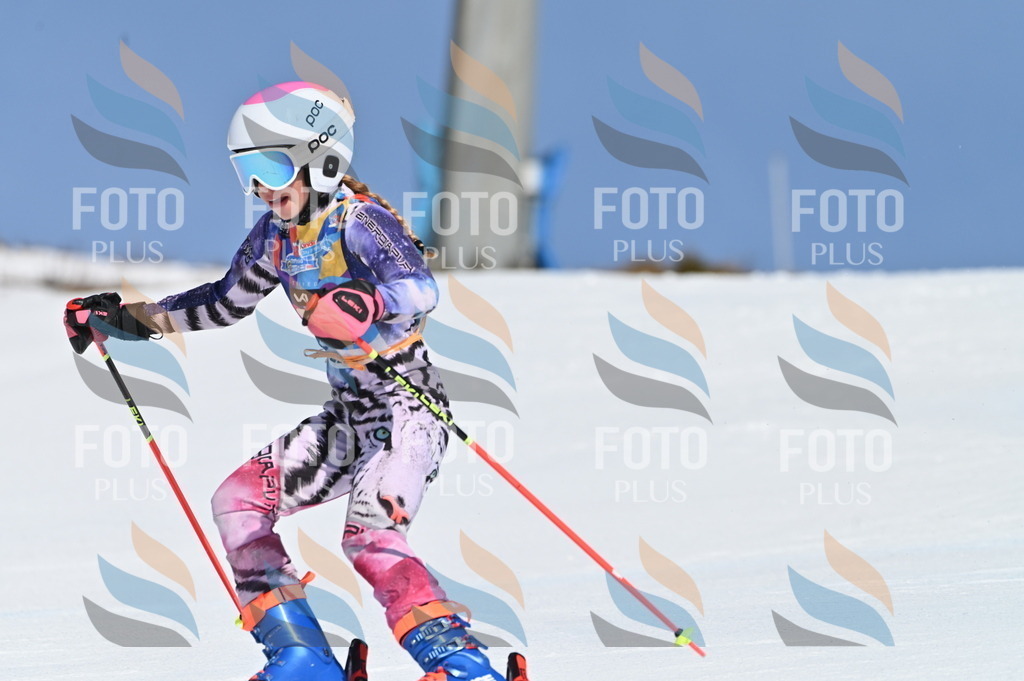 BGV_8794 | holidayphoto