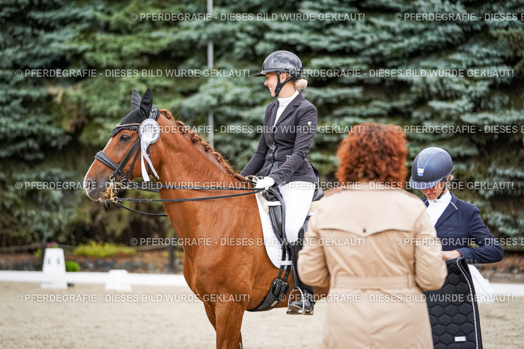 DSC09924 | Pferdegrafie