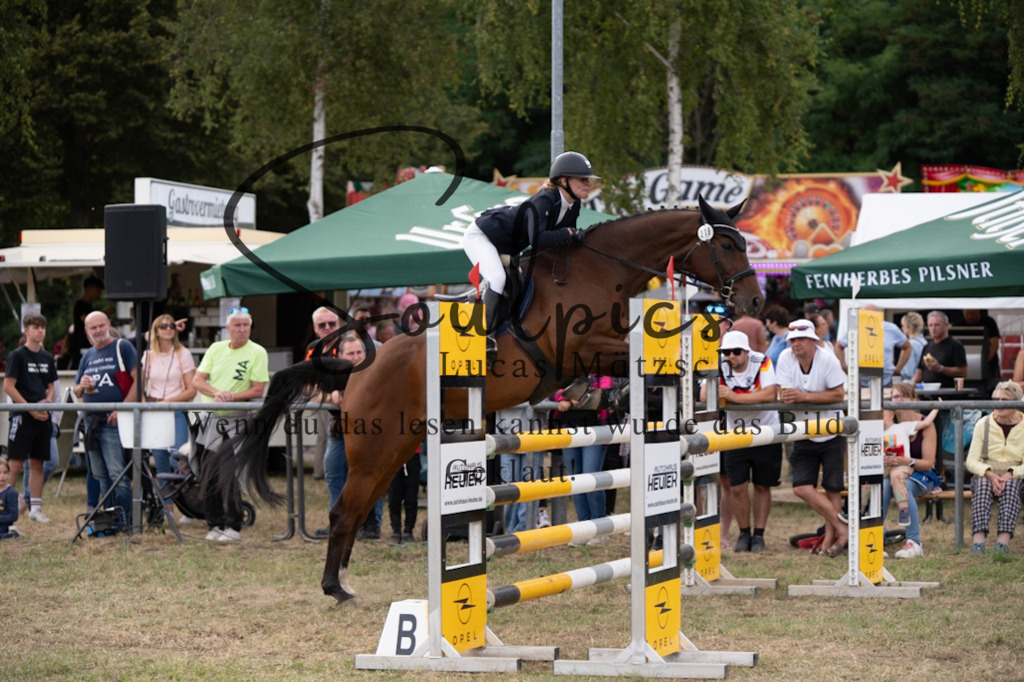 A7V09693 | Pferdefotograf