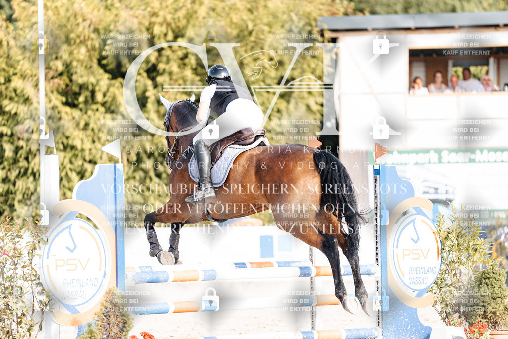 CK909430 | Turnierfotografie Pferdefotografie Trier Rheinland-Pfalz Pferdesport Reitsport Tierfotografie Sportfotografie Pferdevideo Pferdevideografie Equestrianvideography equestrianphotography  - Realisiert mit Pictrs.com