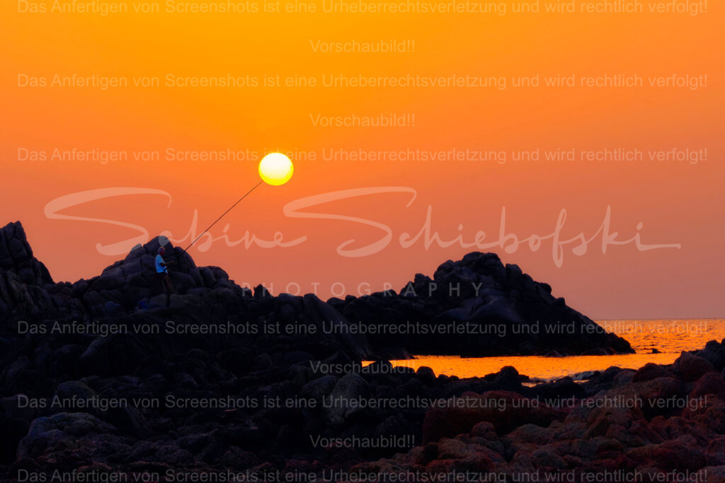 Wandbild "Catch the sun" | People- und Tierfotografie, Imageaufnahmen, Veranstaltungsfotografie und Wandbilder aus der Natur ★ Made in Germany ✔️ Druck + Downloads ✔️ Naturfotografie in Top Qualität ★ schneller Versand, weltweite Lieferung! - Realisiert mit Pictrs.com