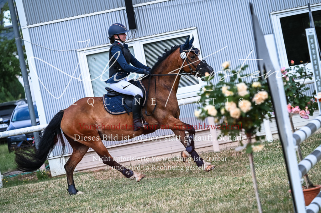 DSC_8210 | Pferde- und Turnierfotografie in Westsachsen. Pferdeportraits, Auftragszeichnungen und intuitive Kunst.