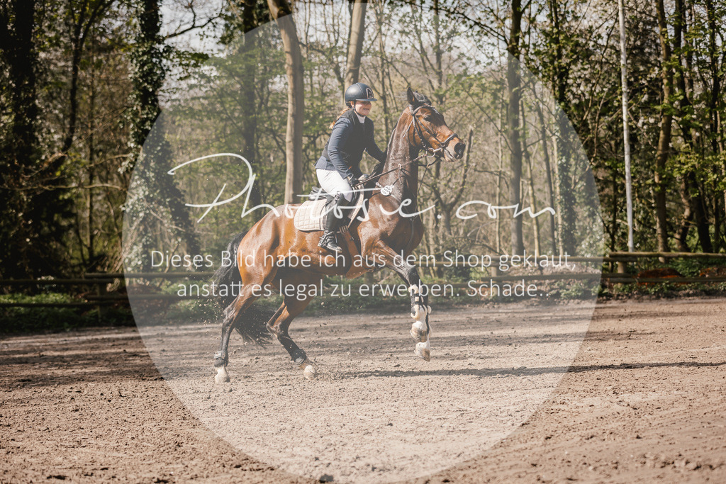 3I6A4111 | Stimmungsvolle Portraits und Reitsportfotografie im Ruhrgebiet und im Münsterland.

Pferdefotografie, Hundefotografie, Tierfotografie, Reportagen, Portraits von Tier und Mensch, Turnierfotografie in Bochum, Recklinghausen, Marl, Haltern am See, Dülmen.. - Realisiert mit Pictrs.com