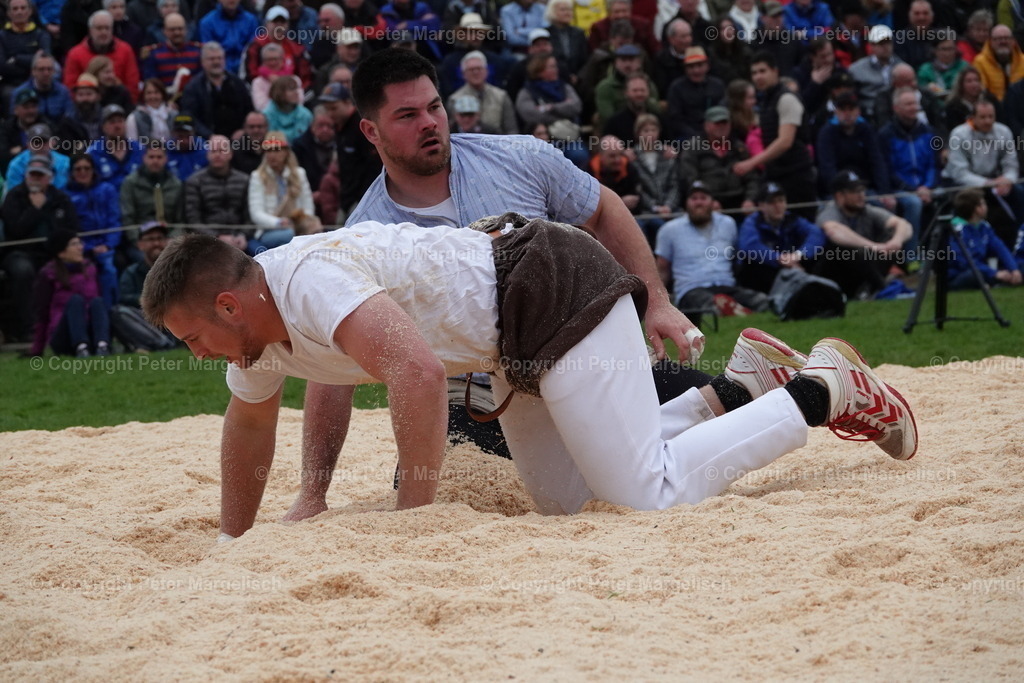 DSC03429 | Schwingen - Realisiert mit Pictrs.com