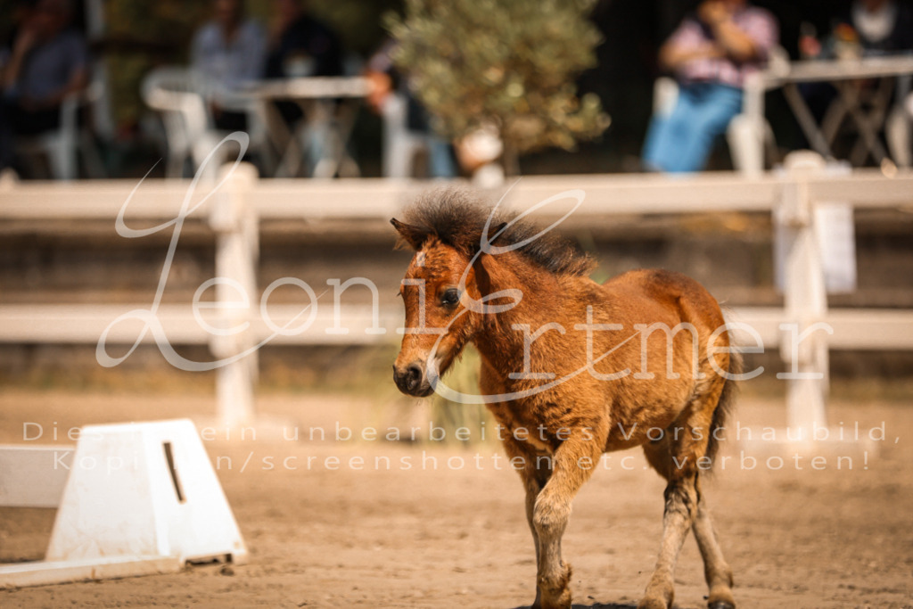 01.DoKR00033 | Leoni Ertmer Photography - Realisiert mit Pictrs.com