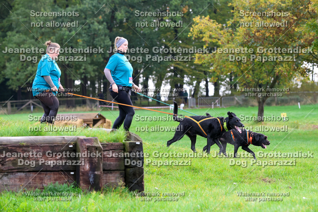 Dog Paparazzi -  SD1026-2147 | Dog Paparazzi Jeanette Grottendiek Fotografie & Videografie - Realisiert mit Pictrs.com