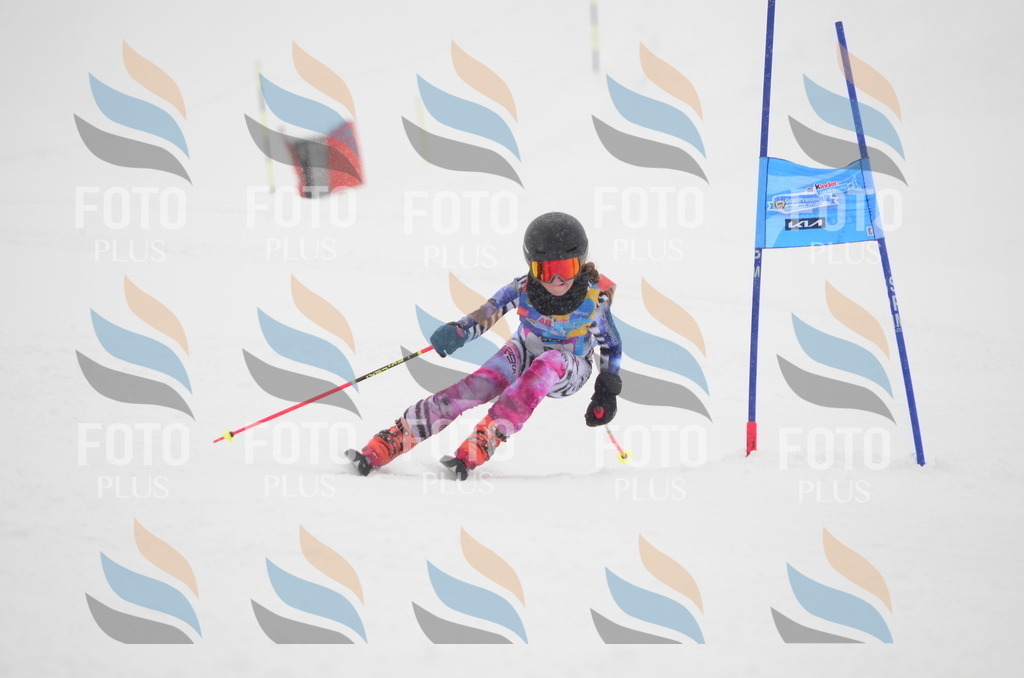 C0585 | holidayphoto