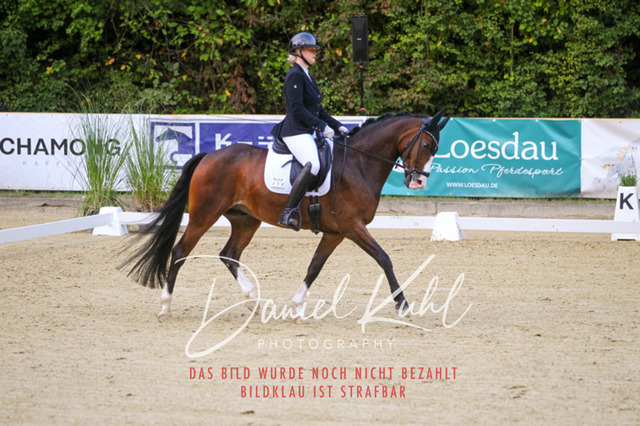 DKP41299 | Turniersportfotografie; Pferdefotografie; Dressurfotografie