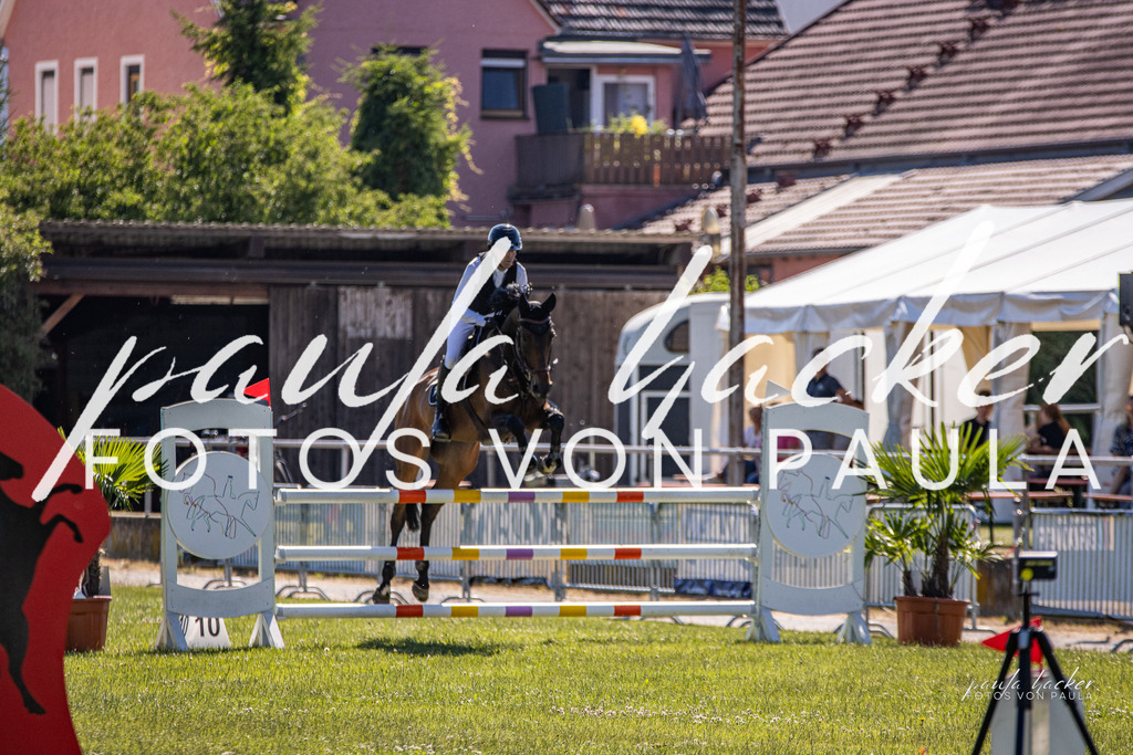 IMG_0216 | Erleben Sie dynamische Sport- und emotionale Tierfotografie in Süddeutschland mit Fotos von Paula. Spezialisiert auf Pferde- und Hundefotografie sowie Sportevents. Kontaktieren Sie mich für einzigartige und ausdrucksstarke Bilder Ihrer besonderen Momente. - Realisiert mit Pictrs.com