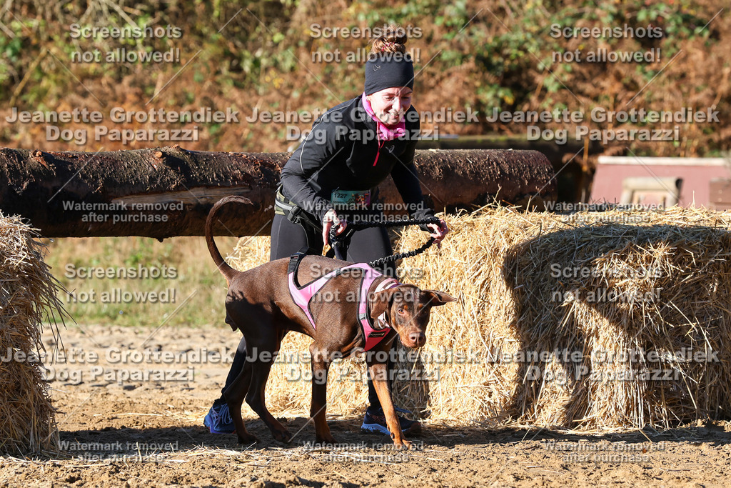 Dog Paparazzi - Strongdog 10-25-1431 | Dog Paparazzi Jeanette Grottendiek Fotografie & Videografie - Realisiert mit Pictrs.com
