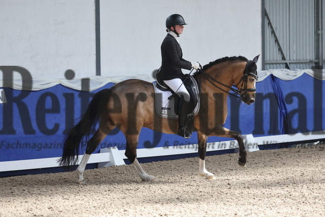 Pforzheim_2024_Prfg.Nr.12_Dressurreiterprfg.Kl.M_Nürnberger-Burgpokal_Cecile Mutz_Capri au Lait (18) | Alle Fotos der Reiterjournal Fotografin Doris Matthaes im Reiterjournal Online-Fotoshop. - Realisiert mit Pictrs.com