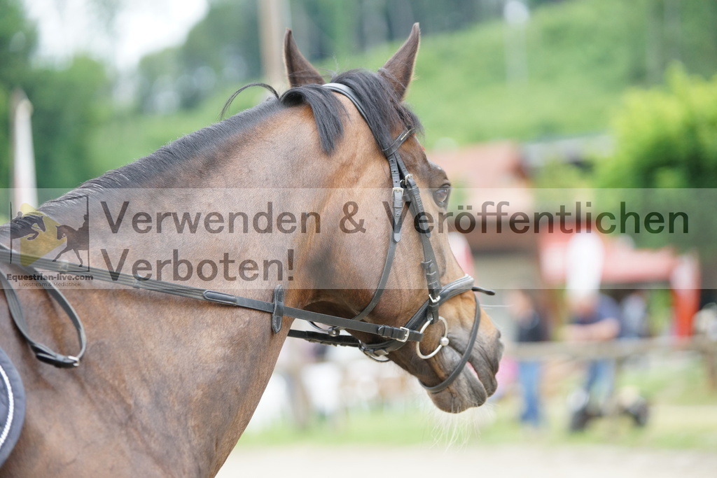 DSC07635 | equestrian-live-com