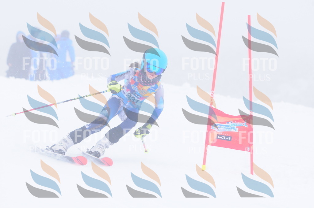 C3544 | holidayphoto