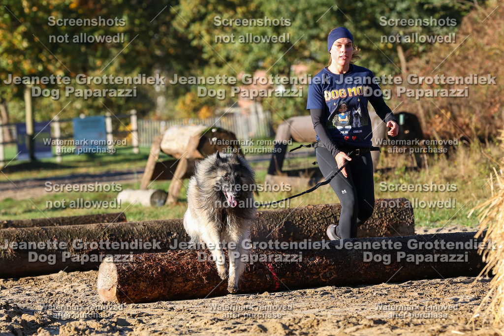 Dog Paparazzi - Strongdog 10-25-1081 | Dog Paparazzi Jeanette Grottendiek Fotografie & Videografie - Realisiert mit Pictrs.com