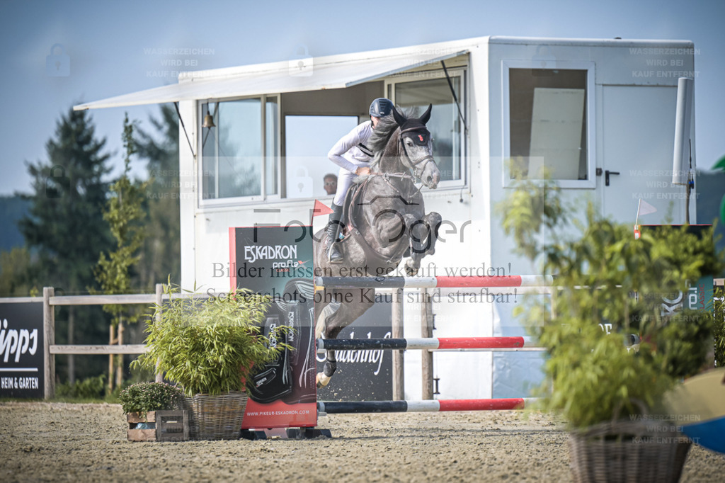 DOS_0247A | Entdecke hochwertige Reitturnierfotos von Foto Oger. Professionell, emotional und authentisch – jetzt Lieblingsmomente im Shop bestellen. - Realisiert mit Pictrs.com