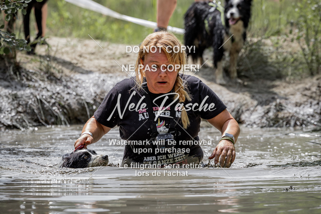 nelerasche_so1145-1230_127 | nelerasche