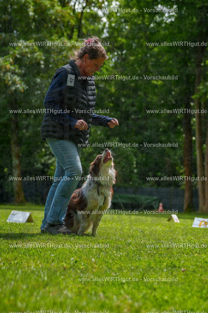 @allesWIRTHgut_Tierfotografie - www.allesWIRTHgut.de - 7R505441 | Professionelle Tierfotografie in Mönchengladbach von Daniel Wirth (allesWIRTHgut). Liebevolle & natürliche Bilder von Hunden & Katzen für unvergessliche Erinnerungen.
