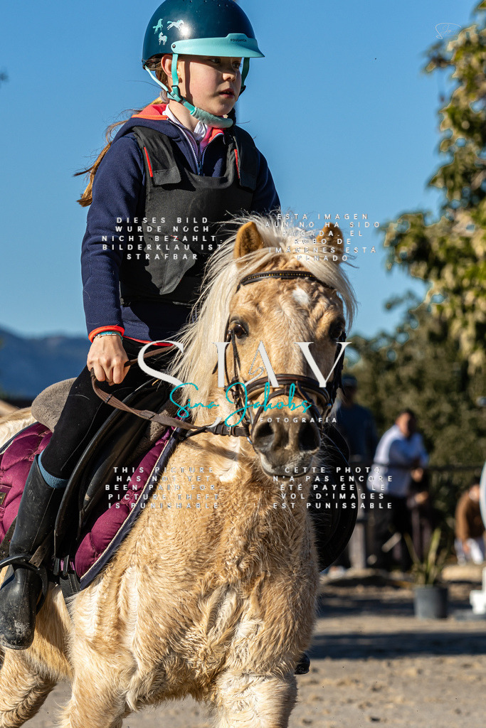 IMG_7808 | s-jay-photography - Realisiert mit Pictrs.com