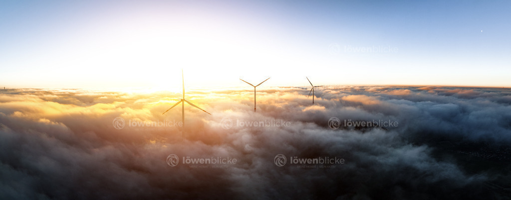 Windräder auf der Kuchalb bei Sonnenaufgang | löwenblicke | shop