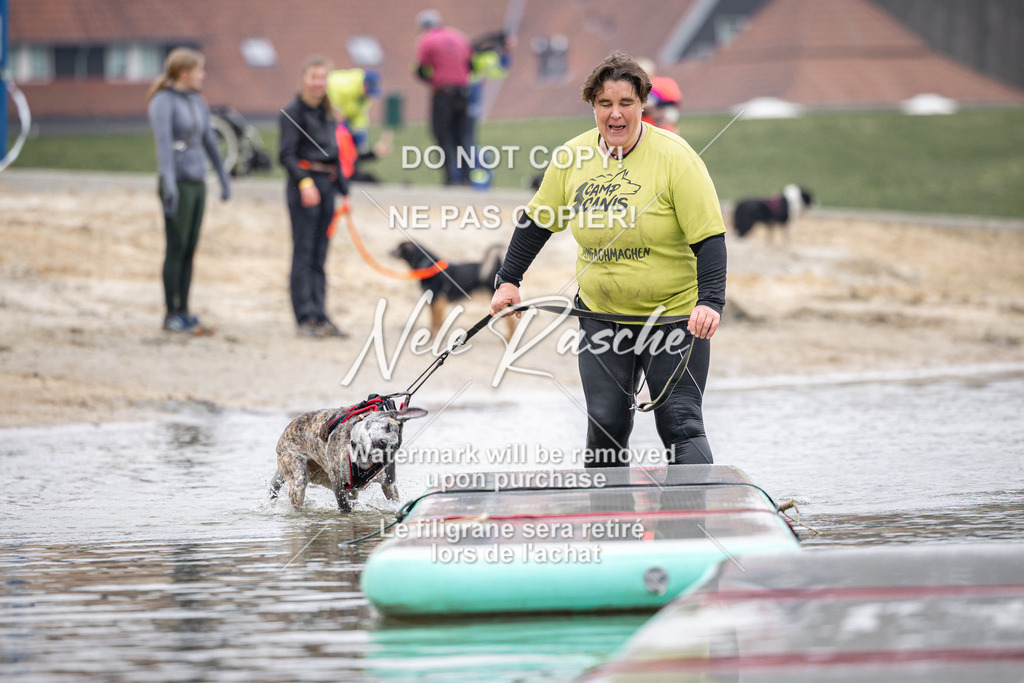 nelerasche_Hulsbeek_Sa1100-1130_152 | nelerasche