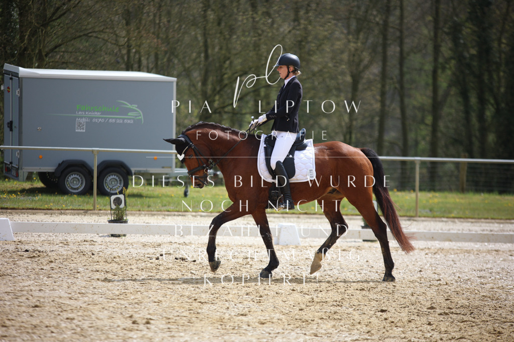 IMGT3740 | pl-fotografie