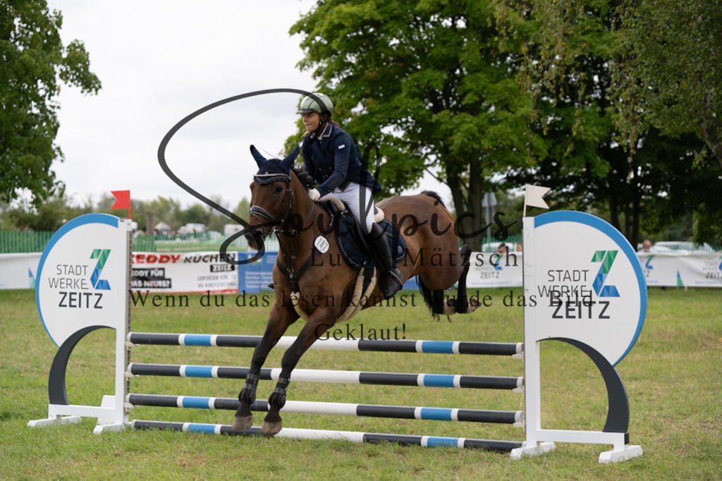 A7V05494 | Pferdefotograf