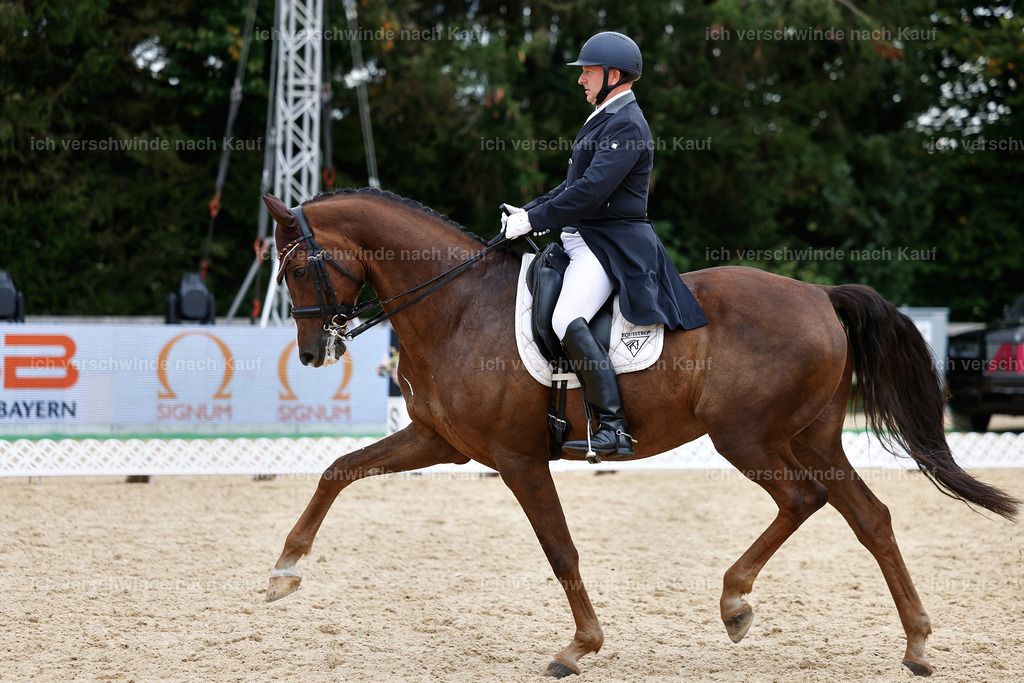 11-092-Dressur S___-StoibPH-1334 | working equitationturnier fotograf videograf stoibphotography marixx film working equitation deutschland reitsport turnierfotografie eventfotografie equestrian events