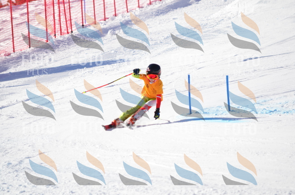 C6394 | holidayphoto