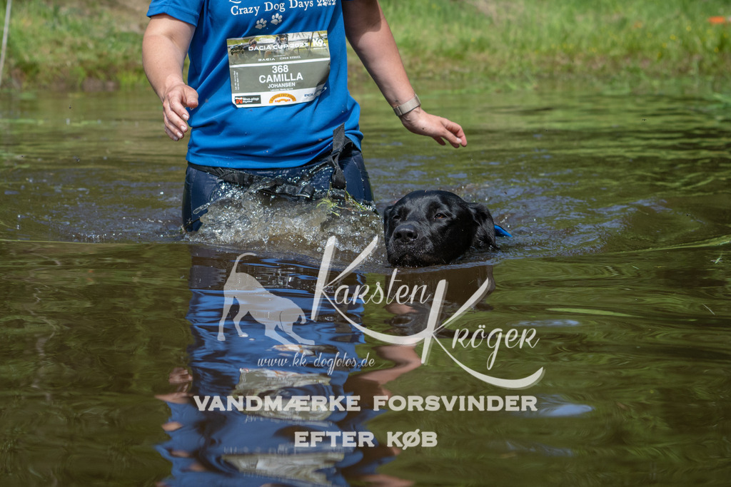 1140DKK990815 | kk-dogfotos