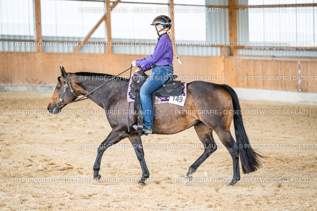 DSC09513 | Pferdegrafie