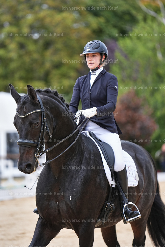 04_1-118-Dressur M__ -Marixx-2732 | working equitationturnier fotograf videograf stoibphotography marixx film working equitation deutschland reitsport turnierfotografie eventfotografie equestrian events