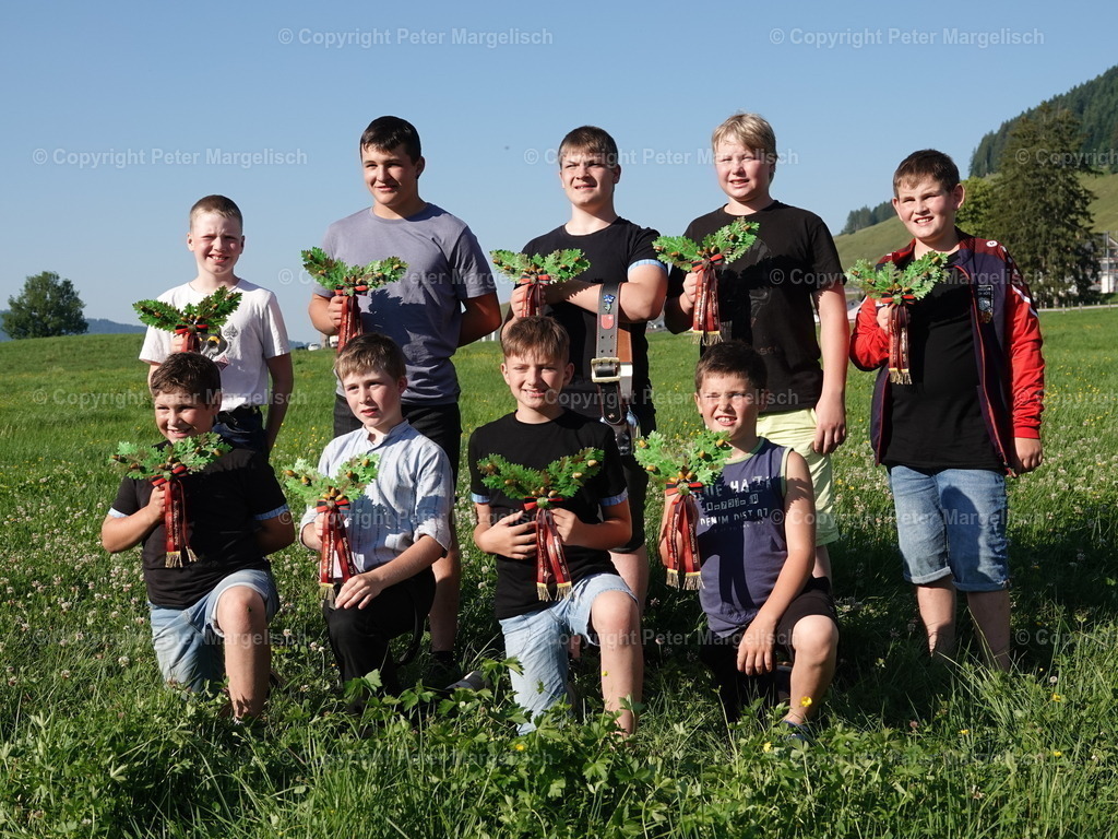 DSC04802 | Schwingen - Realisiert mit Pictrs.com