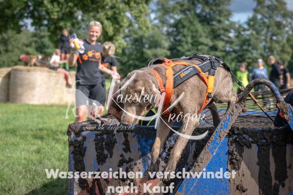 _ZZ91334 | kk-dogfotos