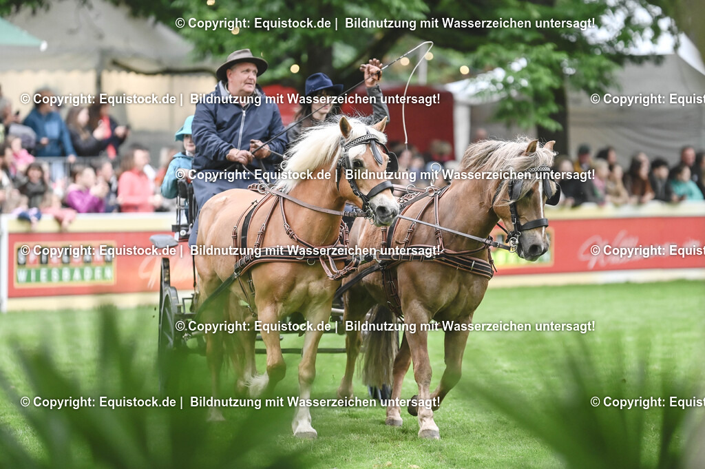 20240517_Lange-Pferdenacht_0065 | Foto: Thomas Hartig