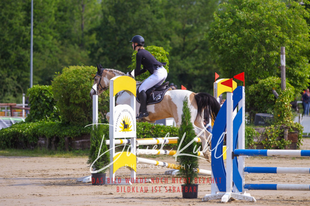 DKP41267 | Turniersportfotografie; Pferdefotografie; Dressurfotografie