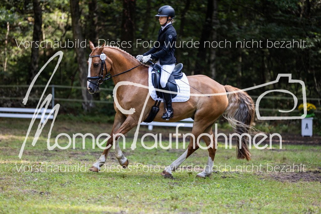 HB-Dressur-WB-115 | MomenTaufnahmen Pferdesportfotos