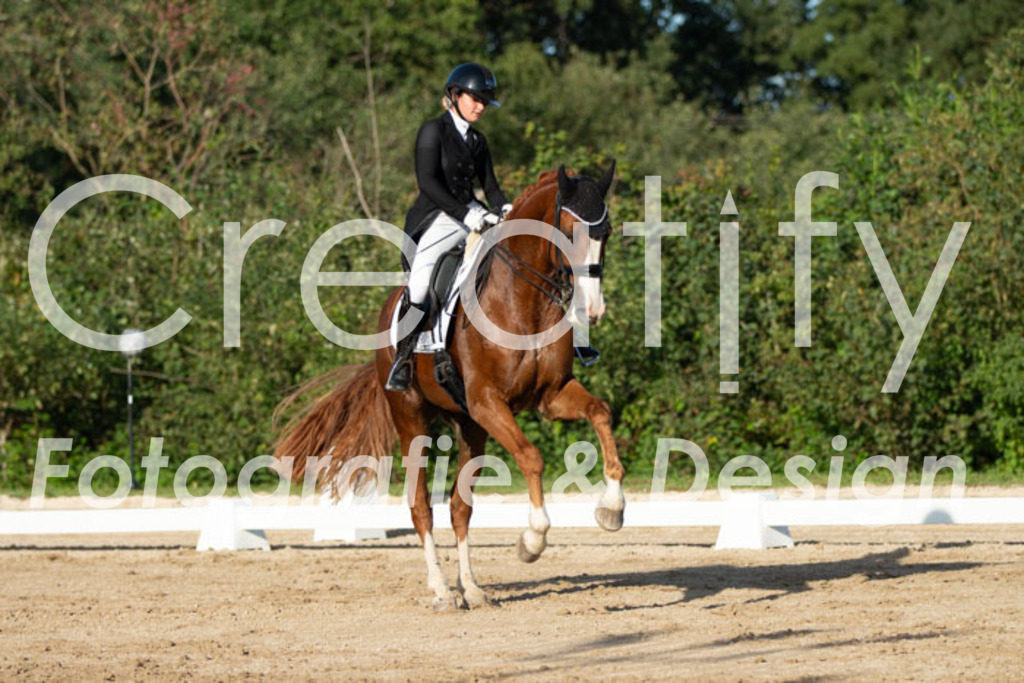 IMG_5851 | Creatify Fotografie