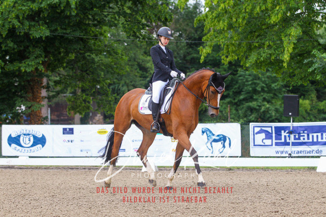 DKP41705 | Turniersportfotografie; Pferdefotografie; Dressurfotografie