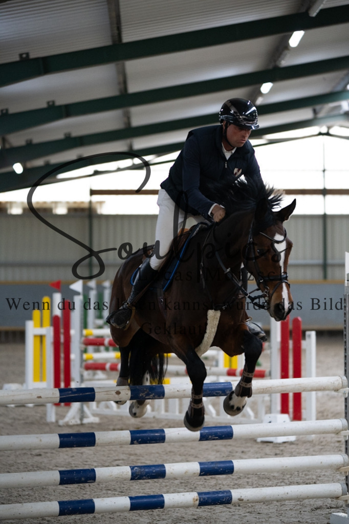 A7V08760 | Pferdefotograf