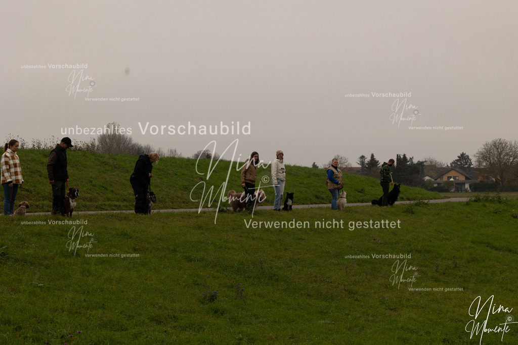 _16A0790 | Einzigartige Fotos von Hunden & Menschen –Actionfotos, Portraits, Vereinsaufnahmen & Paarshootings – authentisch, lebendig & mit Herz.