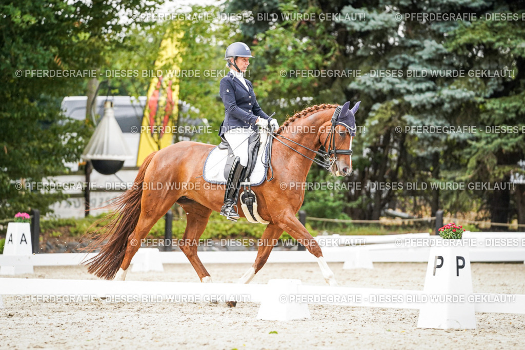 DSC09231 | Pferdegrafie